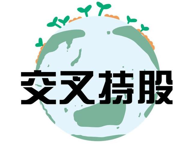 交叉持股安排设计(交叉持股怎么计算持股比例)池州市